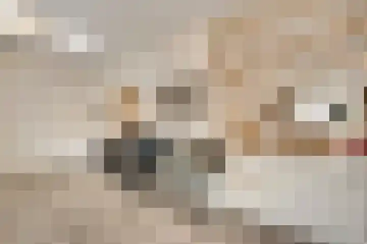 van Loonstraat 10 Haelen thumbnail 17