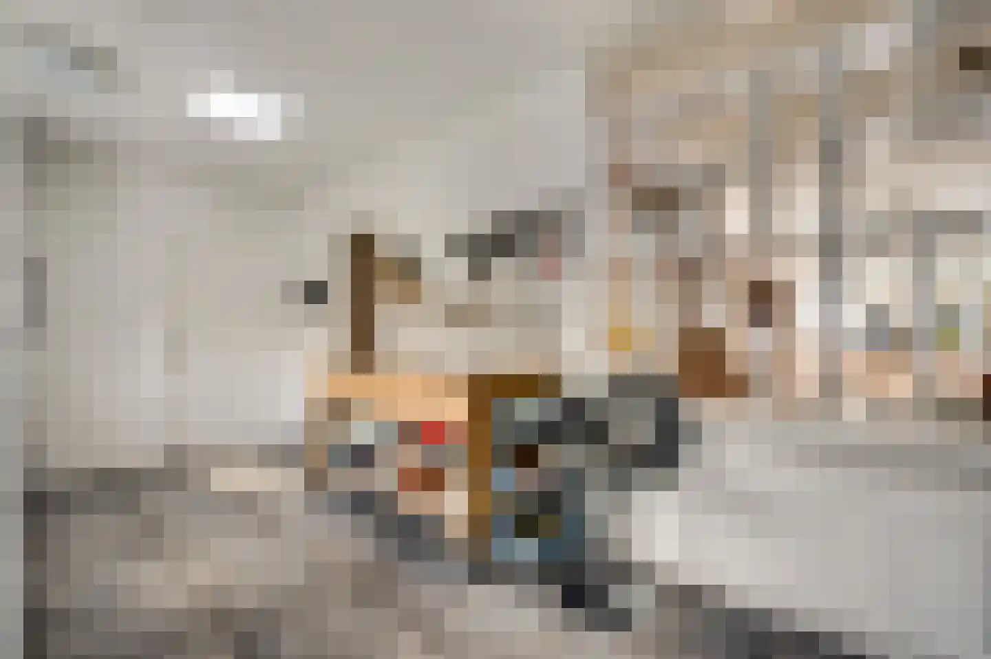 van Loonstraat 10 Haelen thumbnail 17