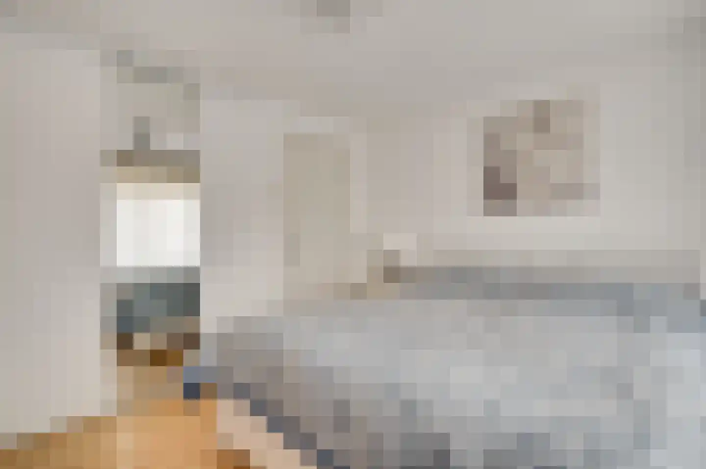 van Loonstraat 10 Haelen thumbnail 19