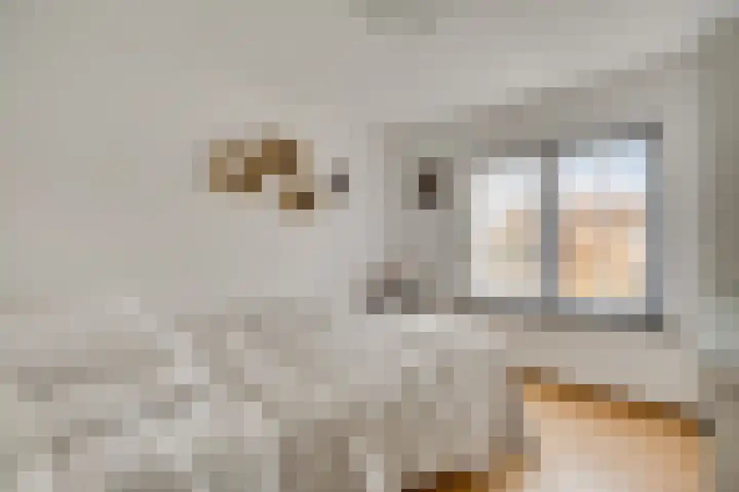 van Loonstraat 10 Haelen thumbnail 21