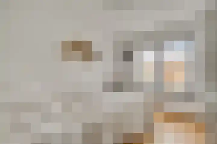van Loonstraat 10 Haelen thumbnail 21
