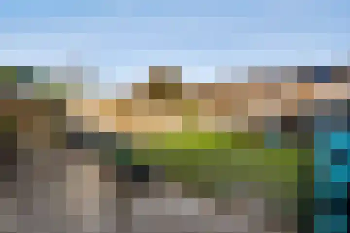 van Loonstraat 10 Haelen thumbnail 25
