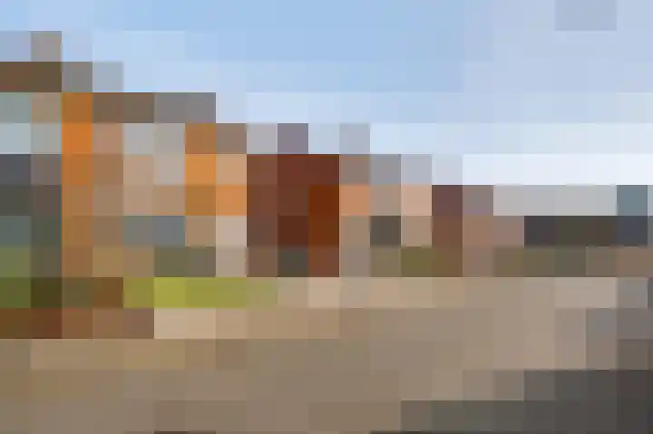 van Loonstraat 10 Haelen thumbnail 28