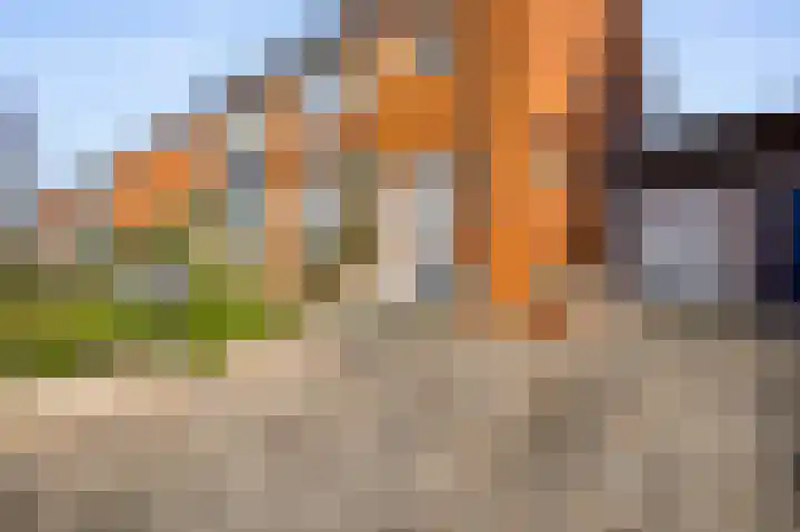 van Loonstraat 10 Haelen thumbnail 5