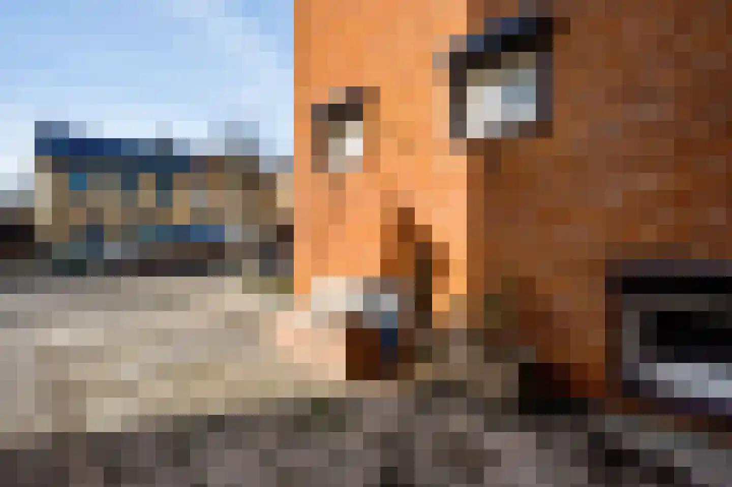 van Loonstraat 10 Haelen thumbnail 6
