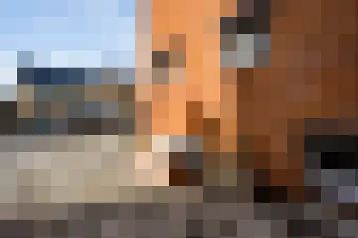 van Loonstraat 10 Haelen thumbnail 6