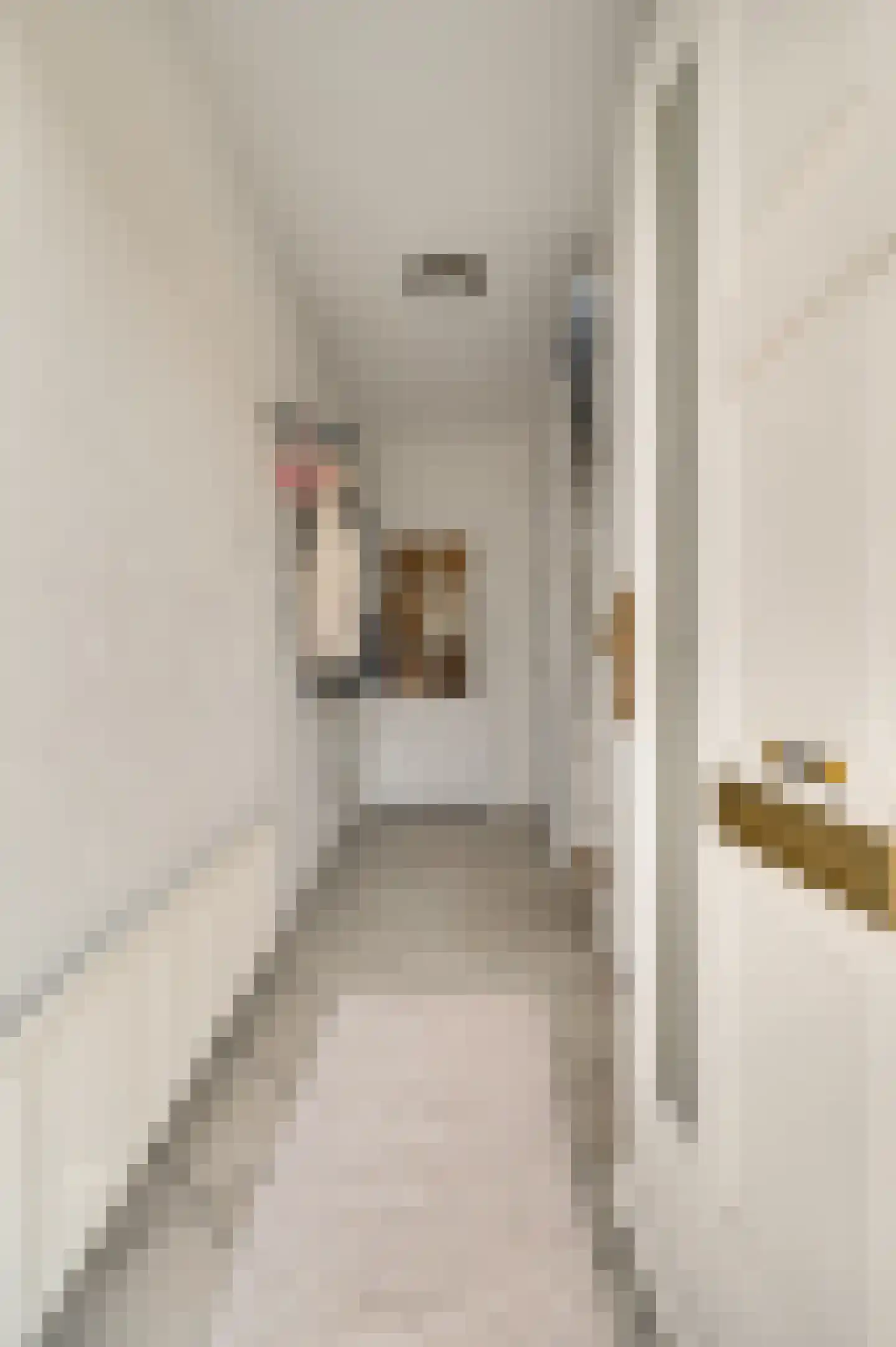 van Loonstraat 10 Haelen thumbnail 7