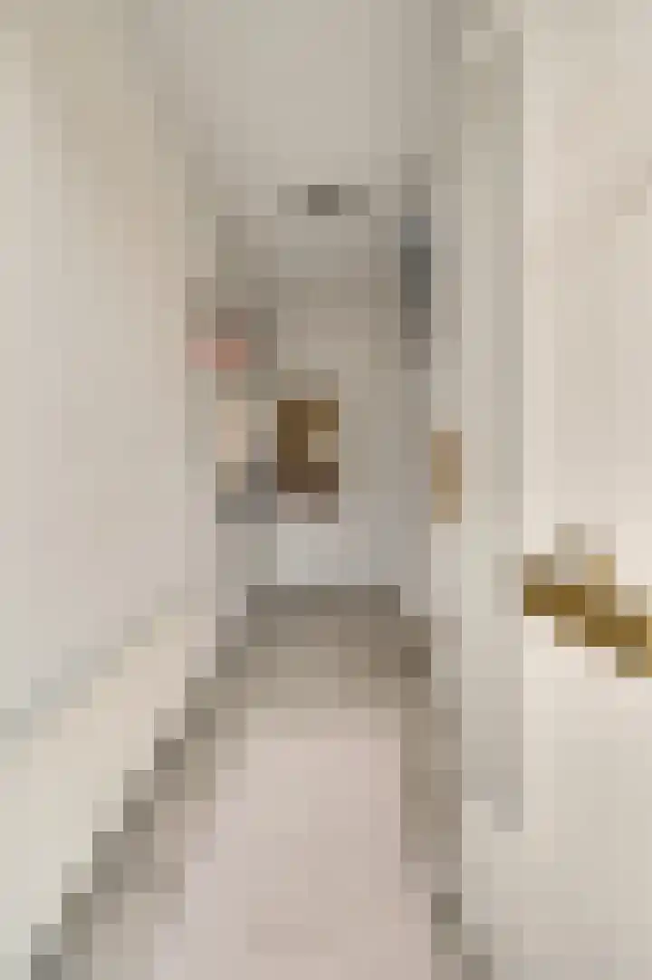 van Loonstraat 10 Haelen thumbnail 7