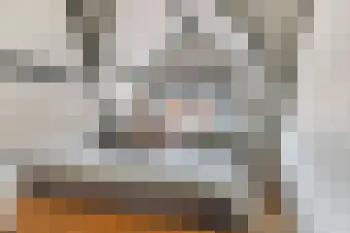 Van Loonstraat 10 Woerden thumbnail 21