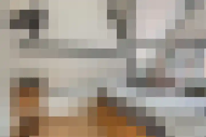 Van Loonstraat 10 Woerden thumbnail 22