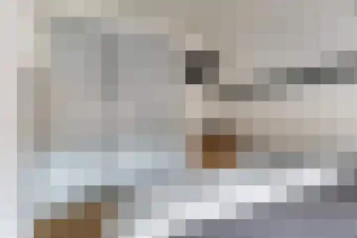 Van Loonstraat 10 Woerden thumbnail 23