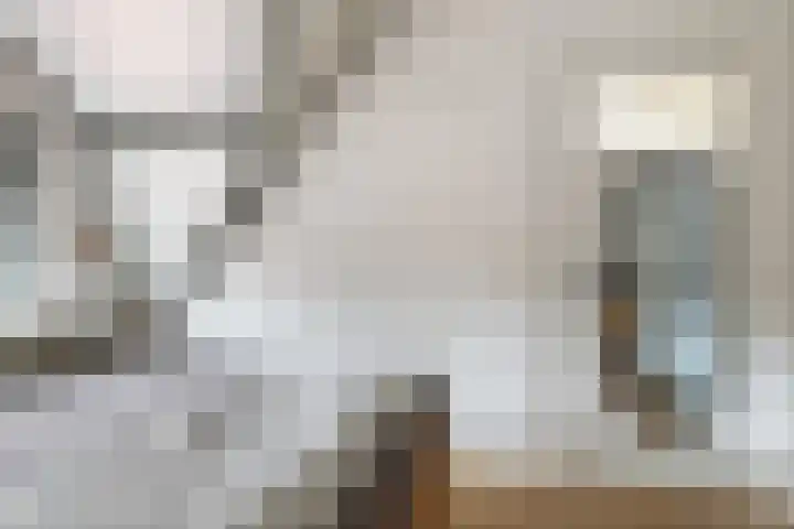 Van Loonstraat 10 Woerden thumbnail 24