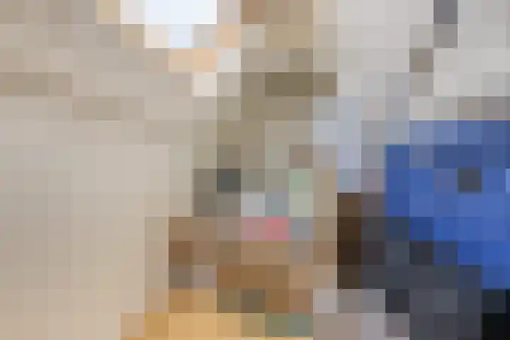 Van Loonstraat 10 Woerden thumbnail 33