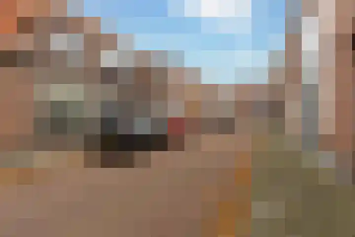 Van Loonstraat 10 Woerden thumbnail 35