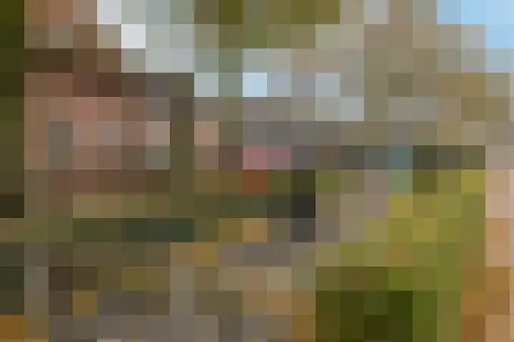 Van Loonstraat 10 Woerden thumbnail 37