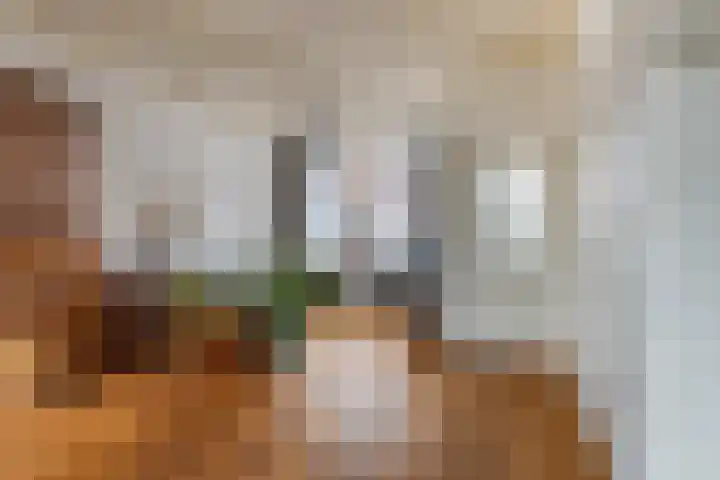 Van Loonstraat 10 Woerden thumbnail 5