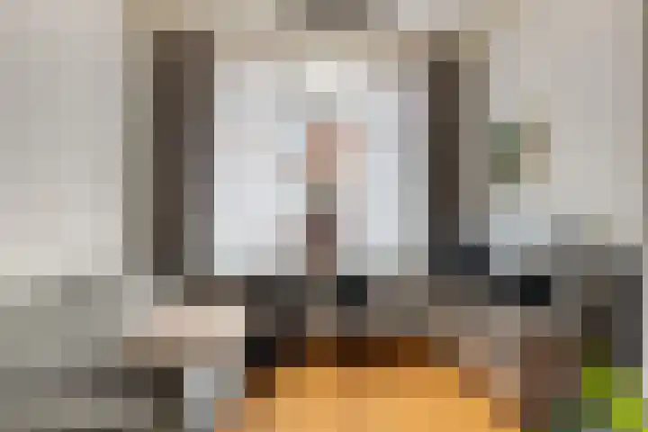 Van Loonstraat 10 Woerden thumbnail 6