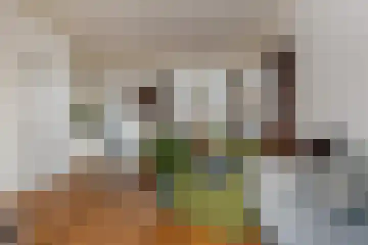 Van Loonstraat 10 Woerden thumbnail 7