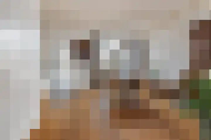 Van Loonstraat 10 Woerden thumbnail 8