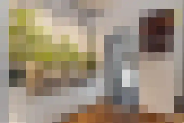 Van Loonstraat 10 Woerden thumbnail 9
