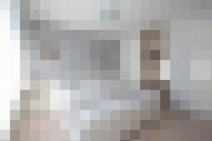 van Loonstraat 14 Haelen thumbnail 17
