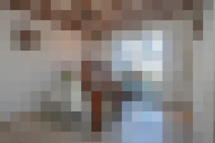 van Loonstraat 14 Haelen thumbnail 7