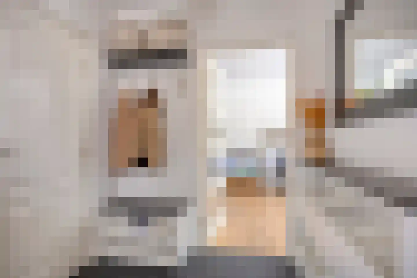 van Loonstraat 21 Sint-Michielsgestel thumbnail 10