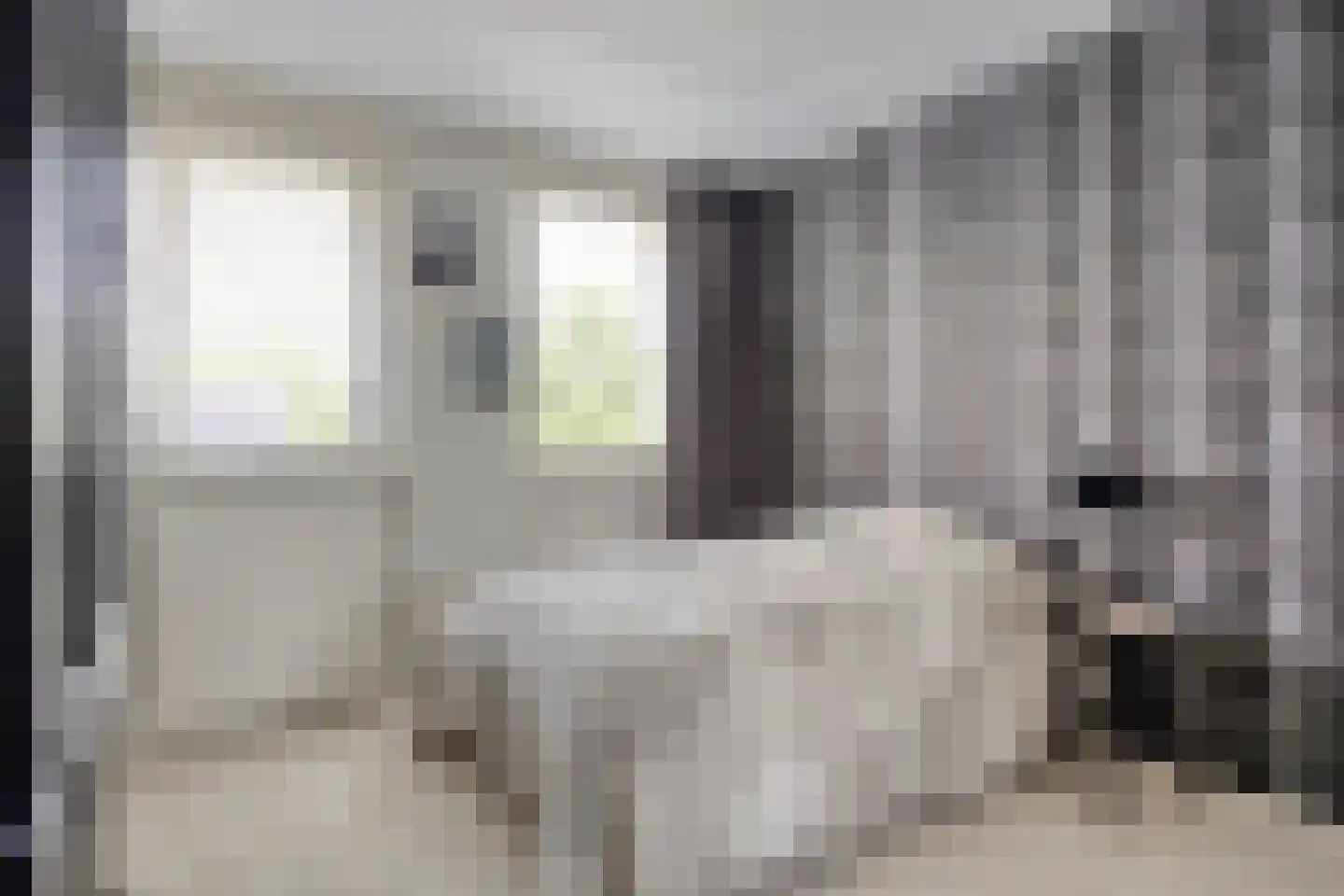 van Loonstraat 21 Sint-Michielsgestel thumbnail 32