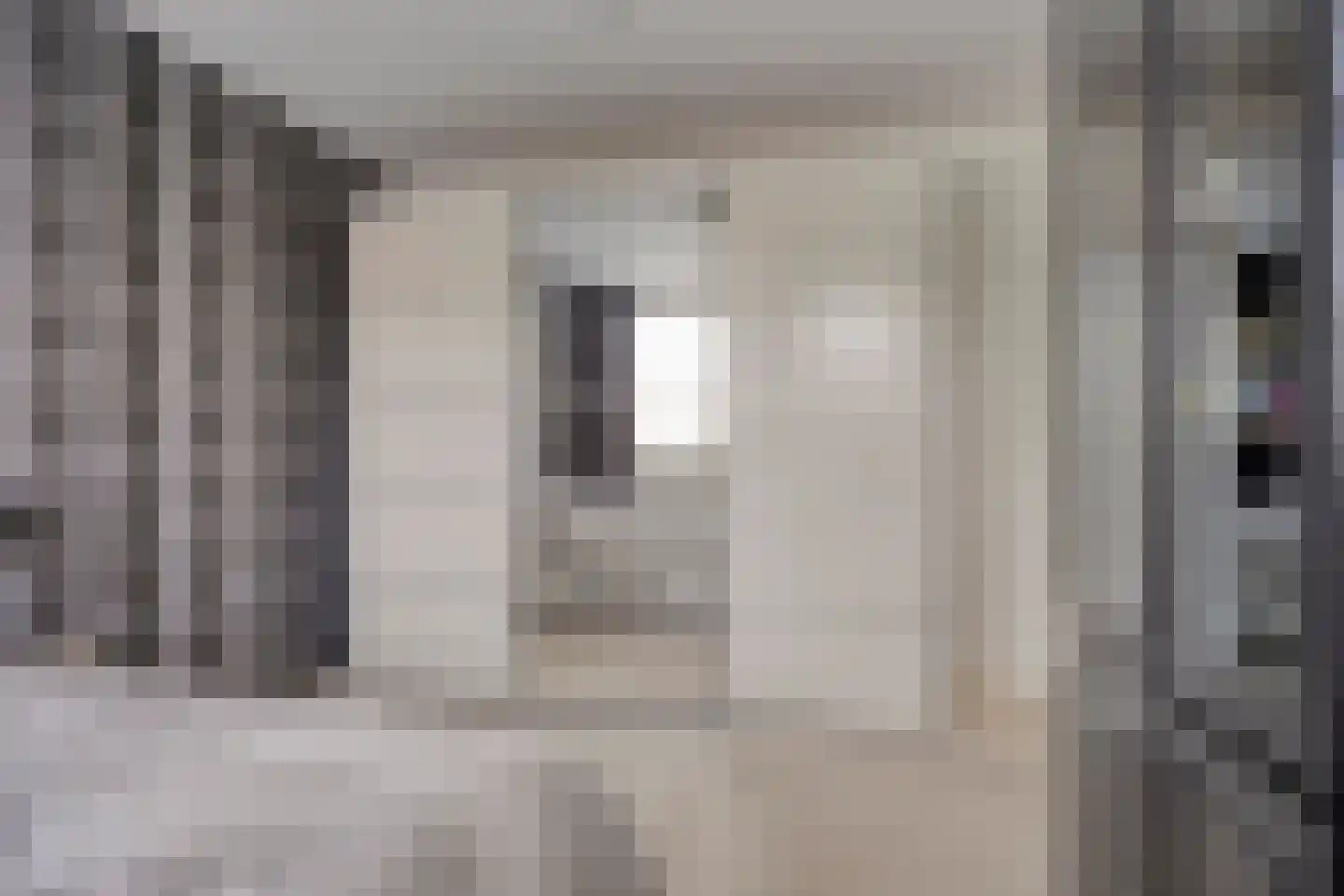 van Loonstraat 21 Sint-Michielsgestel thumbnail 33