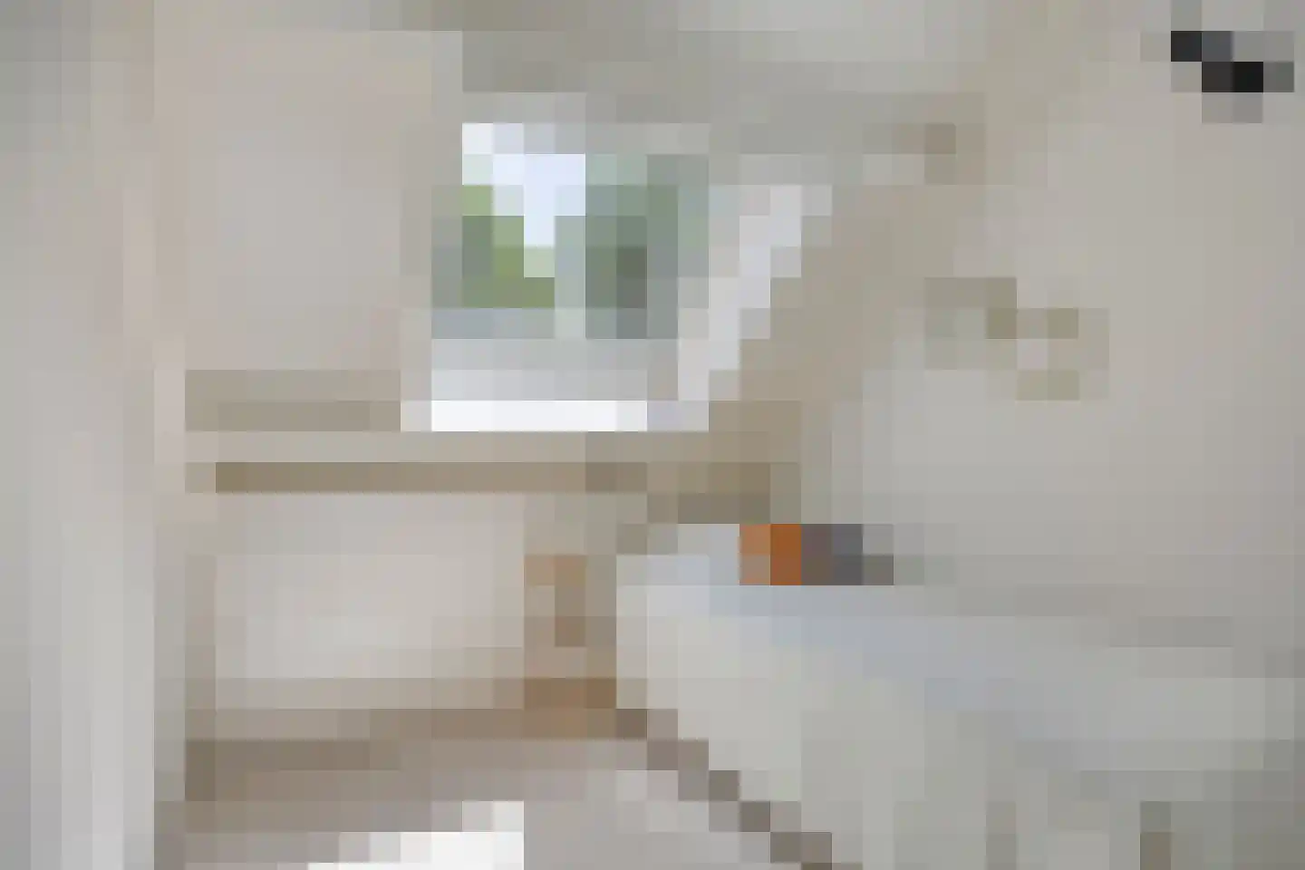 van Loonstraat 21 Sint-Michielsgestel thumbnail 34