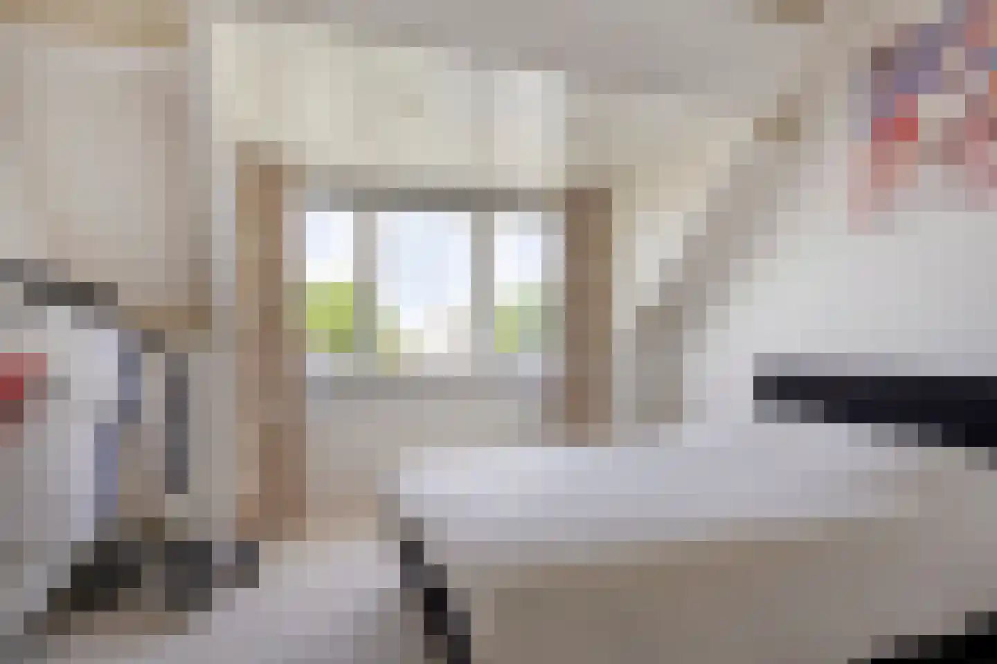 van Loonstraat 21 Sint-Michielsgestel thumbnail 40