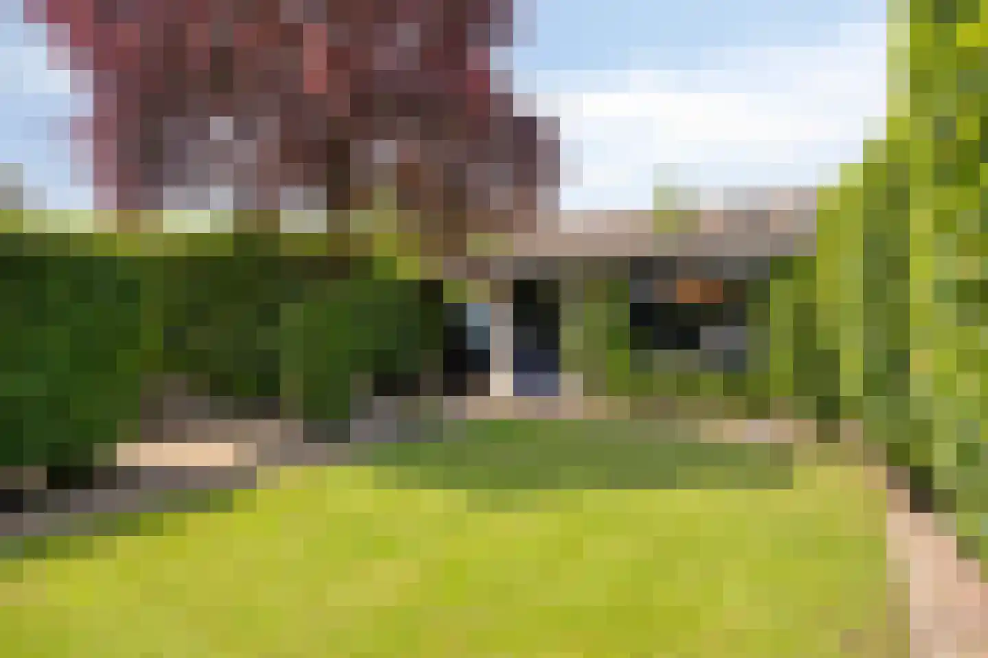 van Loonstraat 21 Sint-Michielsgestel thumbnail 46