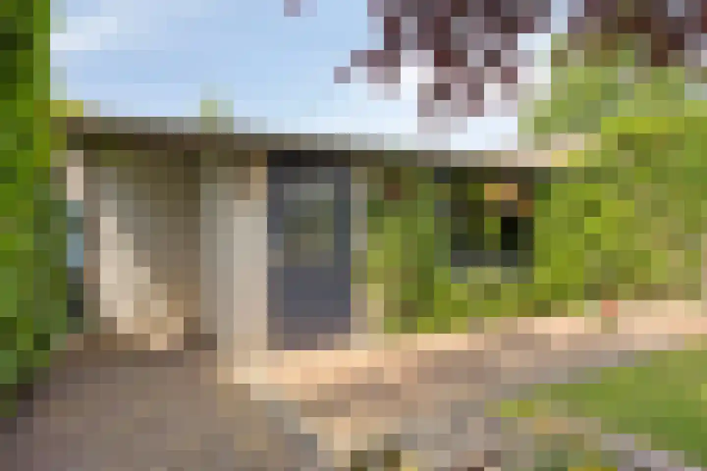 van Loonstraat 21 Sint-Michielsgestel thumbnail 48