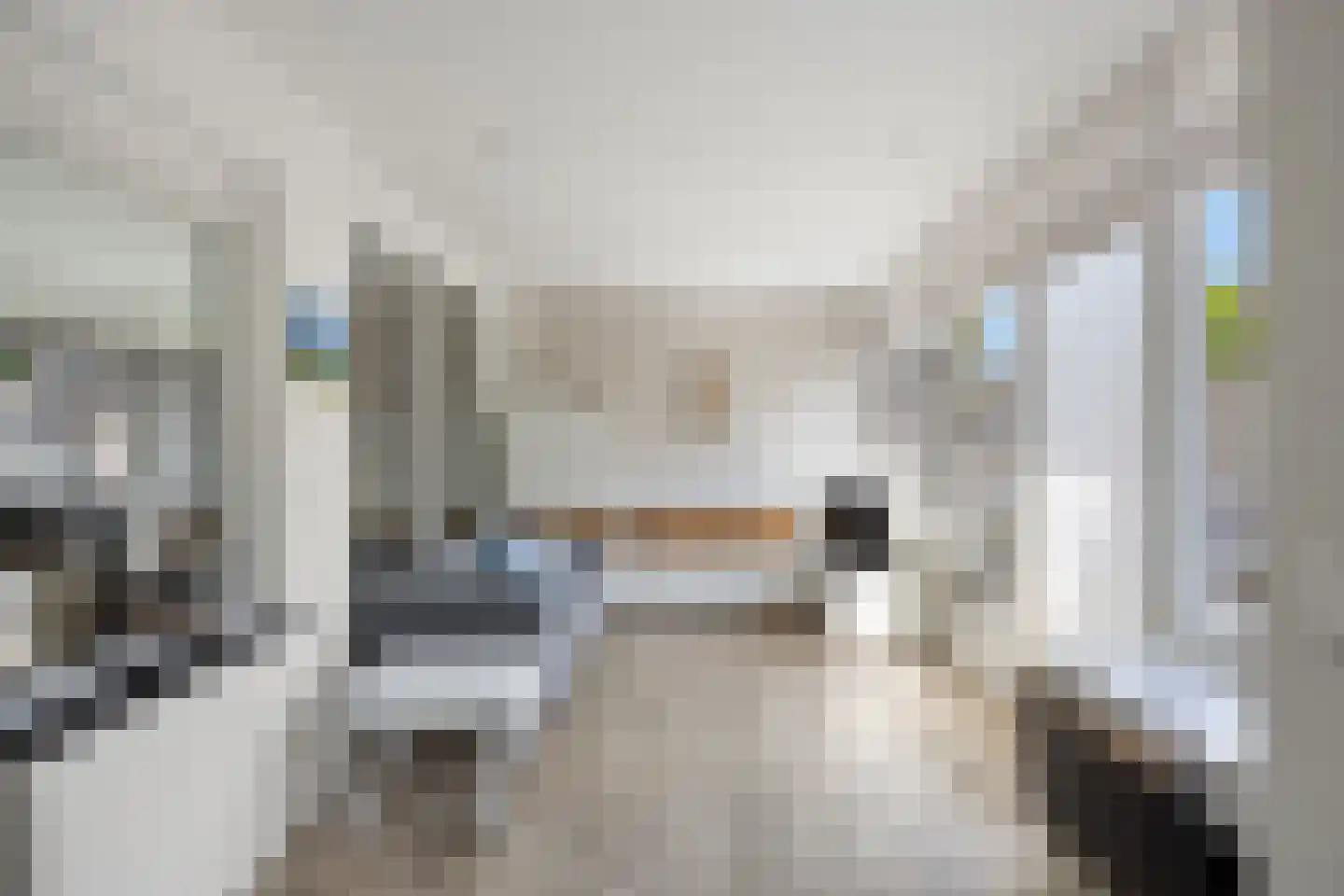 van Loonstraat 26 Sint-Michielsgestel thumbnail 17