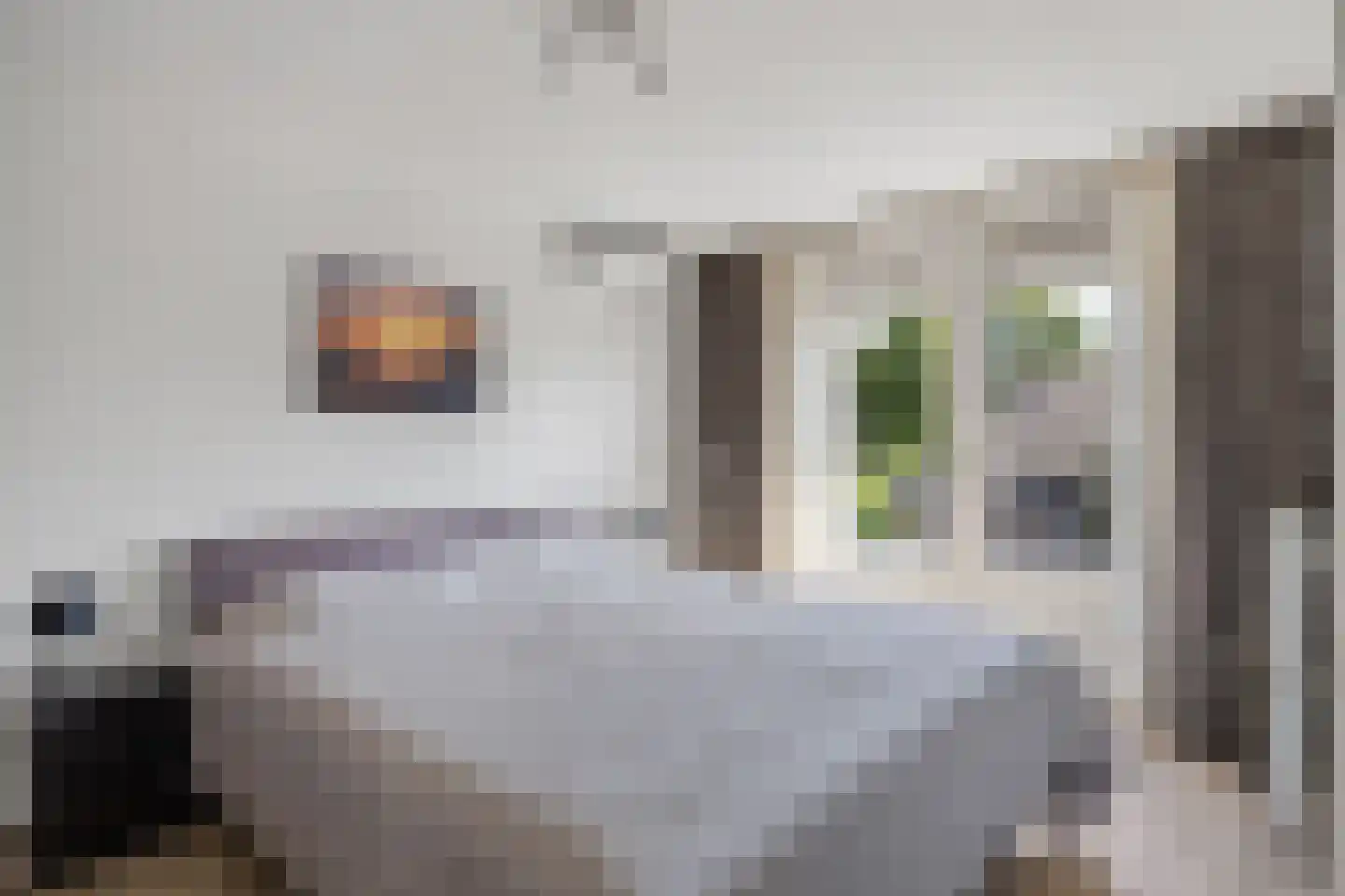 van Loonstraat 26 Sint-Michielsgestel thumbnail 23