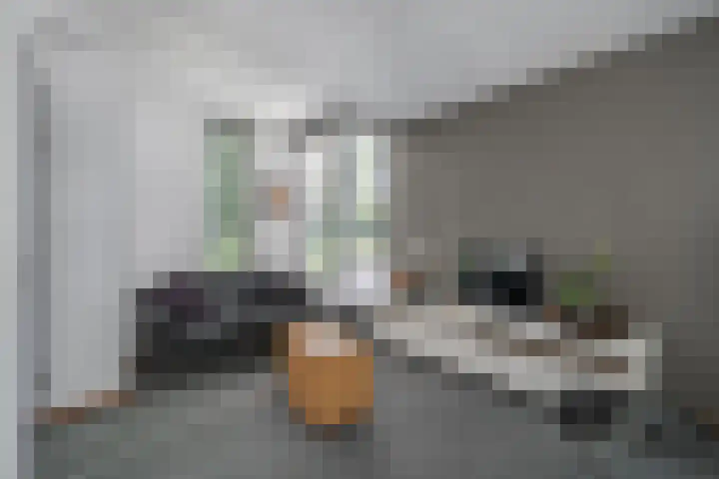 van Loonstraat 27 Sint-Michielsgestel thumbnail 13