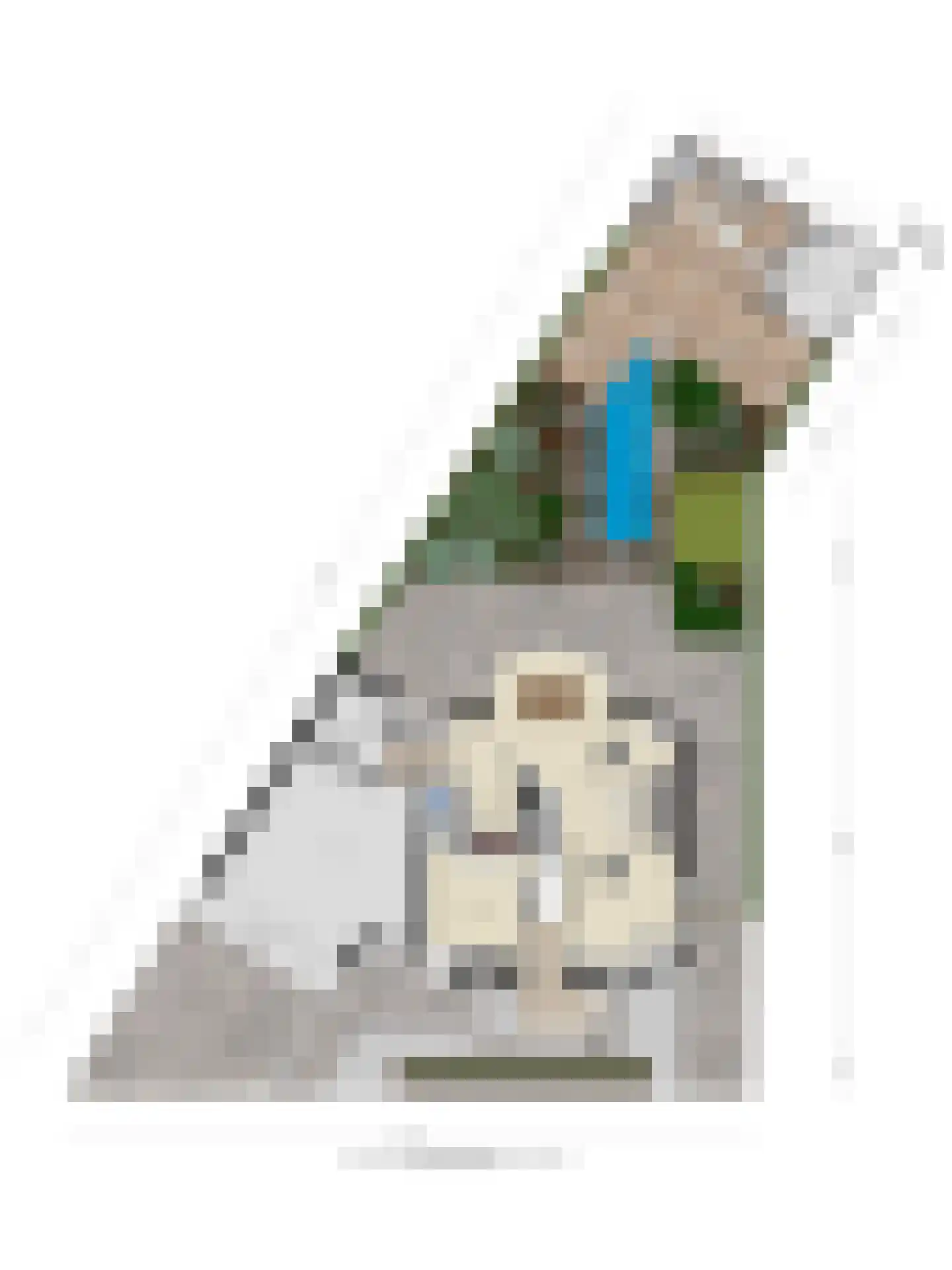 van Loonstraat 27 Sint-Michielsgestel thumbnail 50