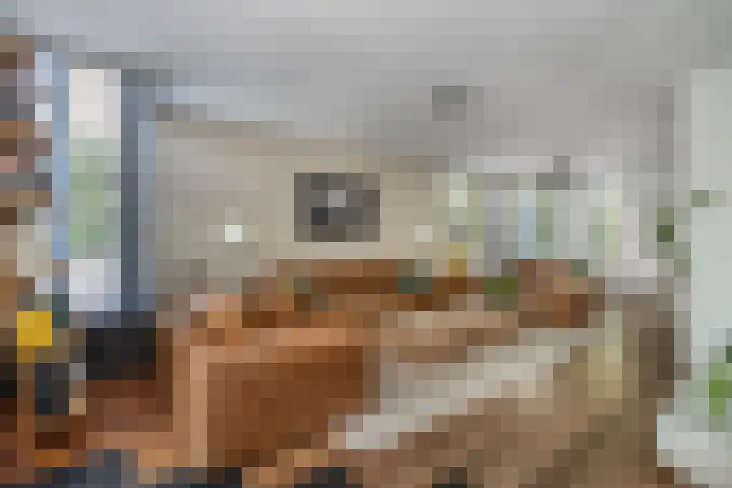 van Loonstraat 27 Sint-Michielsgestel thumbnail 8