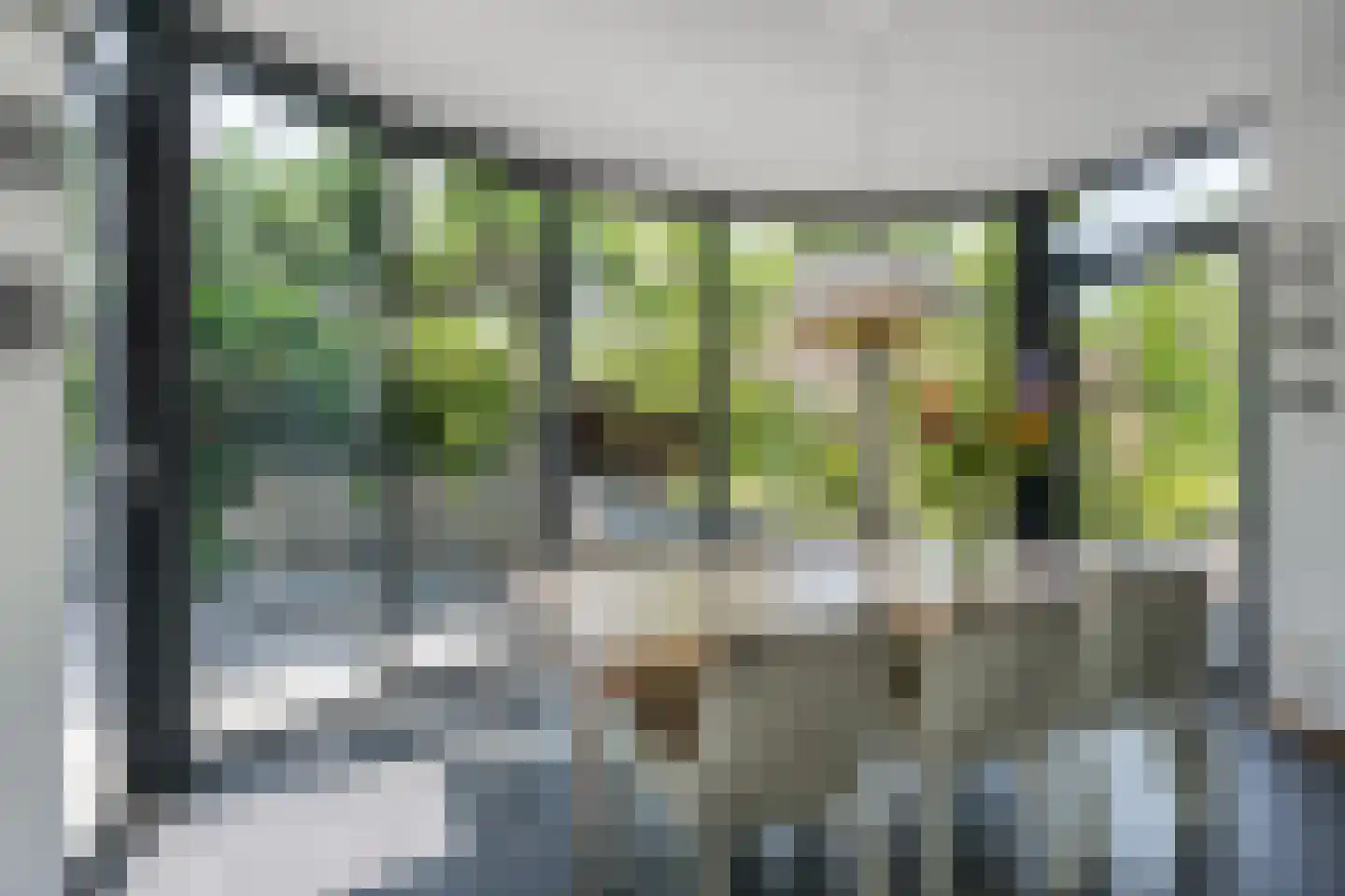 van Loonstraat 27 Sint-Michielsgestel thumbnail 9