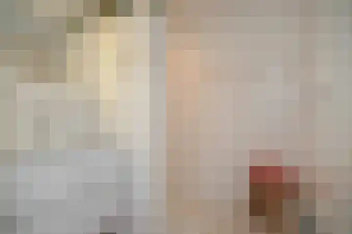 van Loonstraat 38 Sint-Michielsgestel thumbnail 40