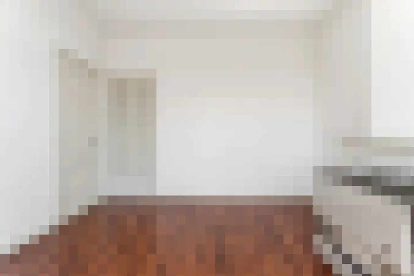 Van Loostraat 115 A Den Haag thumbnail 22