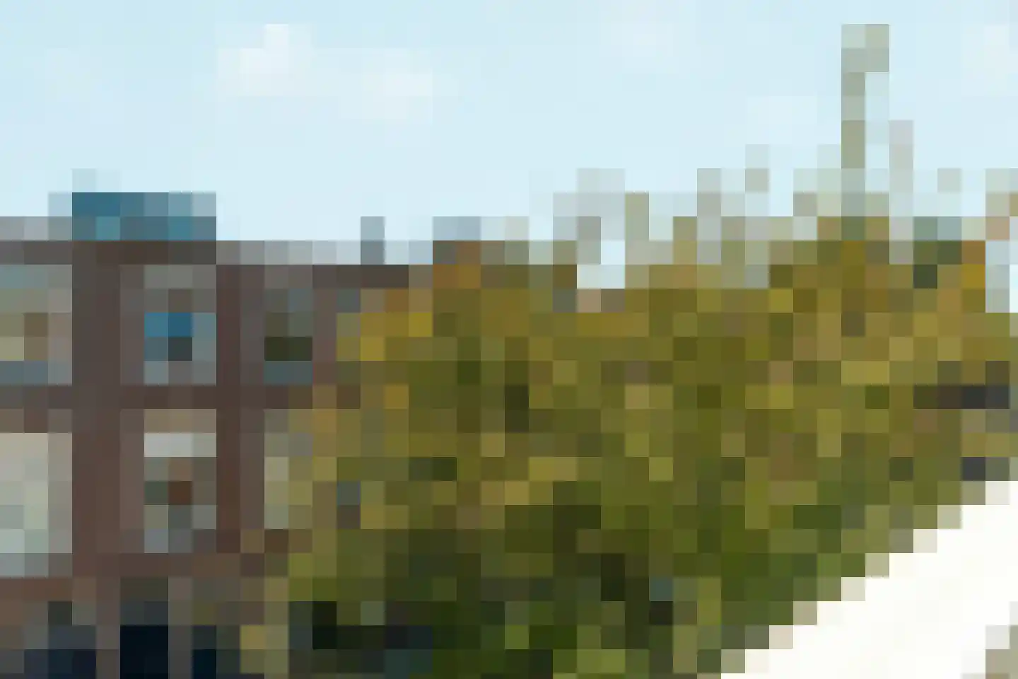 Van Loostraat 115 A Den Haag thumbnail 31