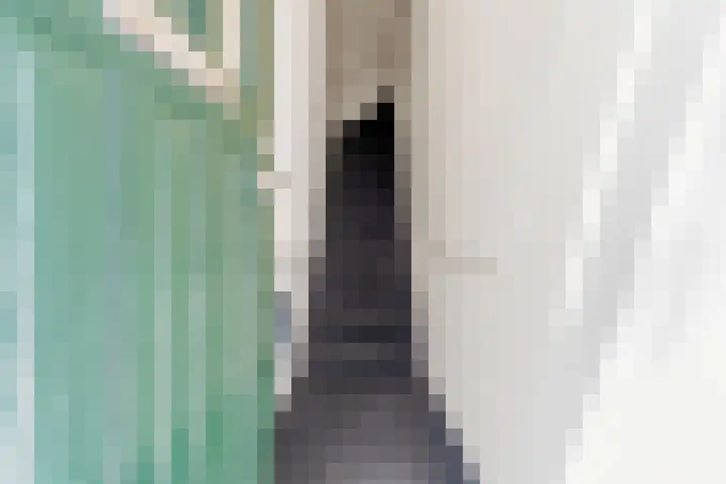 Van Loostraat 115 A Den Haag thumbnail 6