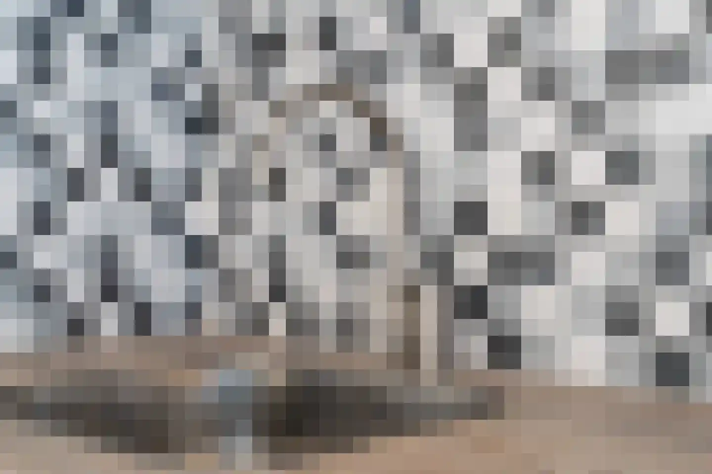Van Loostraat 115 Den Haag thumbnail 10
