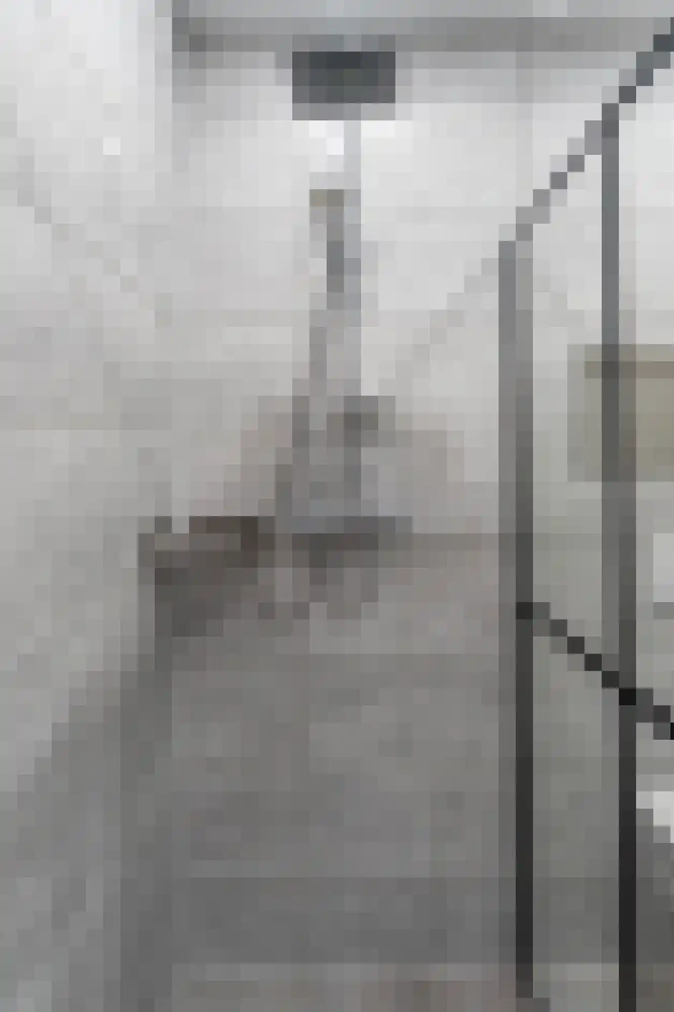 Van Loostraat 115 Den Haag thumbnail 13
