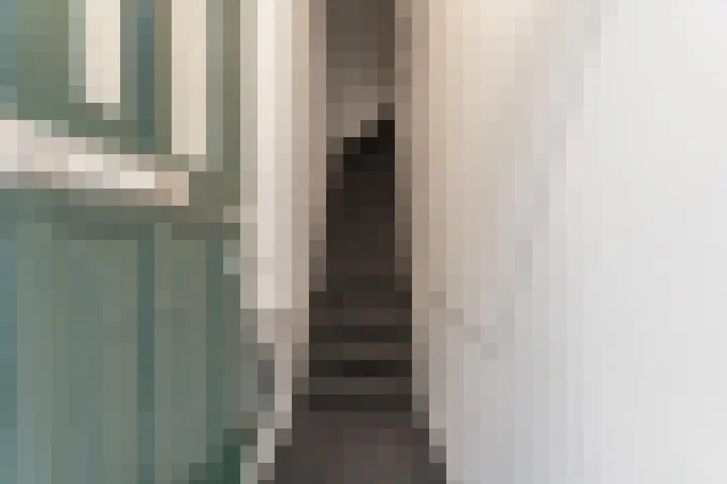 Van Loostraat 115 Den Haag thumbnail 5