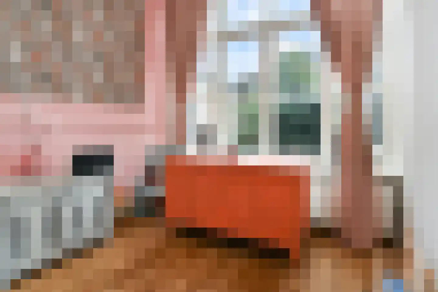 Van Loostraat 116 Den Haag thumbnail 15