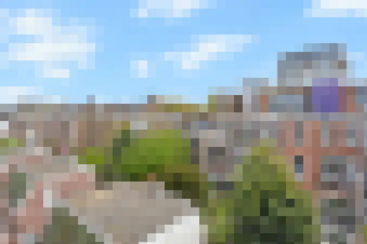Van Loostraat 116 Den Haag thumbnail 35