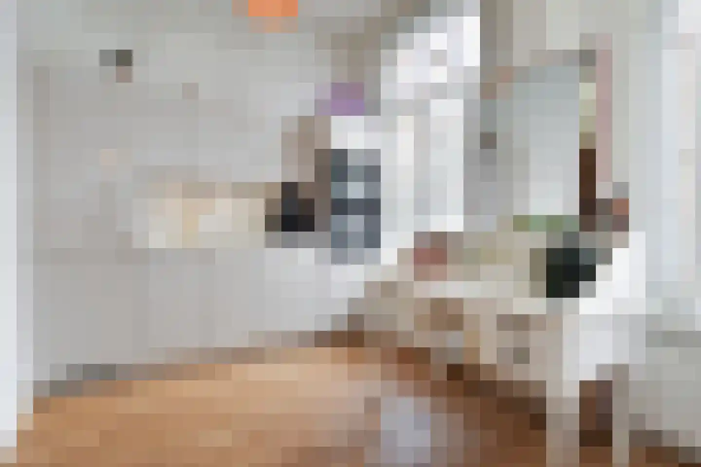 Van Loostraat 116 Den Haag thumbnail 8