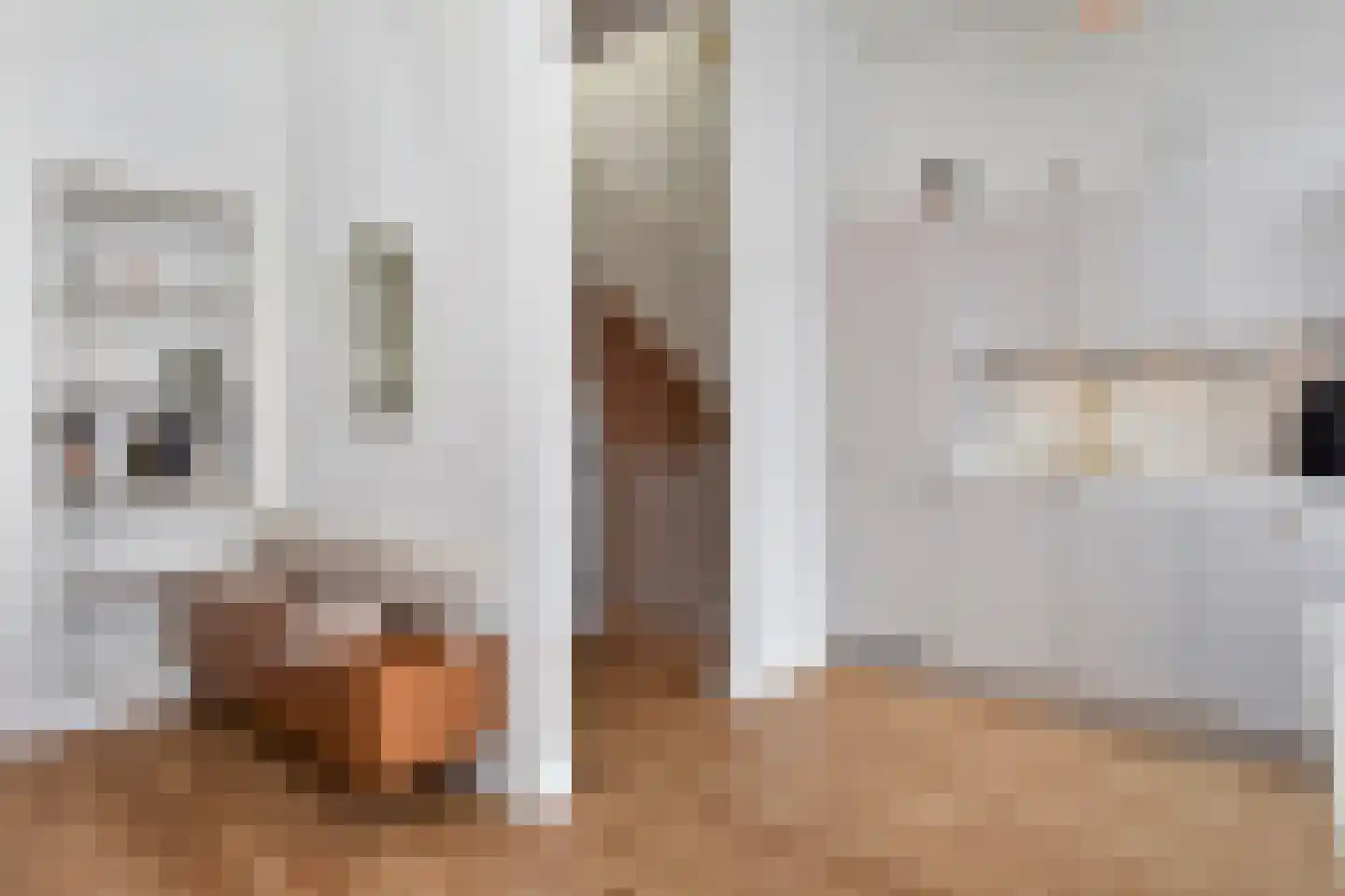 Van Loostraat 116 Den Haag thumbnail 8